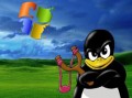 5 LÝ DO KHIẾN MICROSOFT "E DÈ" LINUX