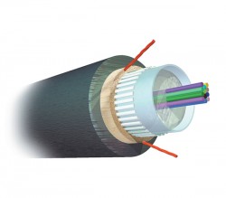 AMP 1-1427432-2 Fiber Optic Cable, Outside Plant, 6-Fiber, OM2, Armored Jacket